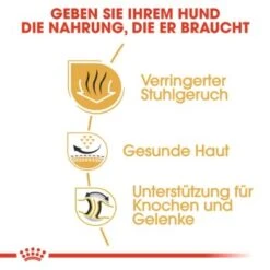 ROYAL CANIN Bulldog Adult 3 Kg 12 ROYAL CANIN Bulldog Adult 3 Kg -Happy Hund b2a0fd71eeb98d54f0e9a685339239b4dcf0374a 57b2b9908d28de419f4030b283f9700e75cbf5a4