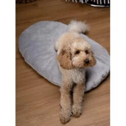 TrendPet Emma Liegekissen Grau S -Happy Hund b48aa1ae4cf4d68ec69ba4c37d516f74528715ee 1369472 de DE b2ffa28c3681679283b9f0b59962e0ca3348cc04HFyDSJ