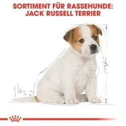 ROYAL CANIN Jack Russel Terrier Puppy 1,5kg -Happy Hund bb3f5f8c600f3d186a55e0b092a0352606da8b46 5f62f0670b22e1110337187d33f26910051f1a81