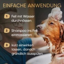 Ausgewählte Produkte -Happy Hund be59e8c873c9c55a34a4af87672e3f41c7ec8553 1626204 de DE 0e93cfef805ae9948cc20f31411a0ad2b476eab7e9RNIg
