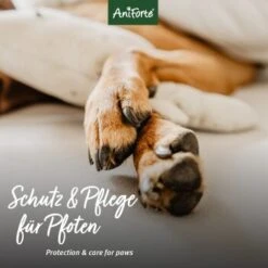 Aniforte Pfotenschutz Balsam 120ml Sommer & Winter 9 Aniforte Pfotenschutz Balsam 120ml Sommer & Winter -Happy Hund be7e1c598244edada4489f13bec1e7800c80d3b1 1480491 de DE f650fba8fbd6f844b33986ec63515d1811d42d7fSgMMbf