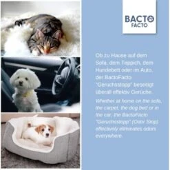 ChronoBalance BactoFacto Probiotischer Geruchsstopp Pads Für 2 Liter 20 Ml -Happy Hund c27e75fc226c89e592b2af9866887997e79057a8 1397549 de DE 11eaf103bff429178d8c79950fc83faf63345183BU6JEF