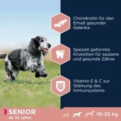 EUKANUBA Caring Senior Medium Breed 15 Kg -Happy Hund c59963b2bf12d7ba820a9f846f7d788be1ad27ba 1293661 de DE asf 2