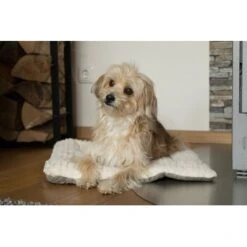 TrendPet Heaven Gefütterte Liegedecke Beige XS -Happy Hund c5c66fc687d35a3e6773ef1448666519ab0b2e08 1247692 de DE 81f160c83e2294ffce25bd46e4e5f7822b6791cdSRCcNt