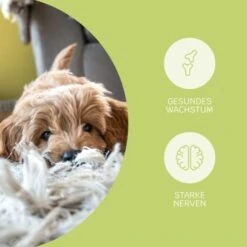 Mammaly Puppy Power 110g -Happy Hund c7cef81181d0b2152b816e59970ecf56019ccf1c 1472892 4