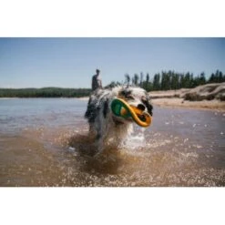 Ruffwear Hydro Plane™ Spielzeug L Blau/ Türkis -Happy Hund c85f56c174e45f26bb8b85eb8209e1187b03cb62 1364299 de DE 9aa31f36273b943af3517e0584e57ea49be3ad7aNQkaUi