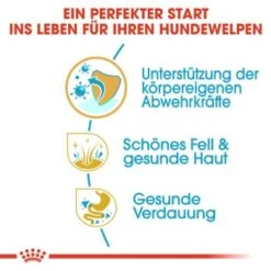 ROYAL CANIN Golden Retriever Puppy 12 Kg -Happy Hund cb6ceb5c2c0348785b37349290f73d5d5a660141 9a400f77f339333ff4f9079df0935bb9039a62ba