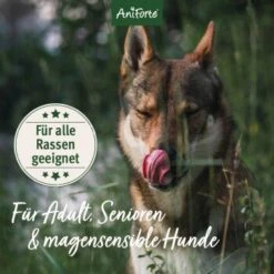 Aniforte Trockenfutter LandChicken - Zartes Huhn Mit Reis 2 Kg -Happy Hund ccdccba22db20132f6ff6d85dd45b1297bf8942a 1668916 de DE ab8d93a2aba26d4d3d9191665a57d8e6fecc366ahRURHR