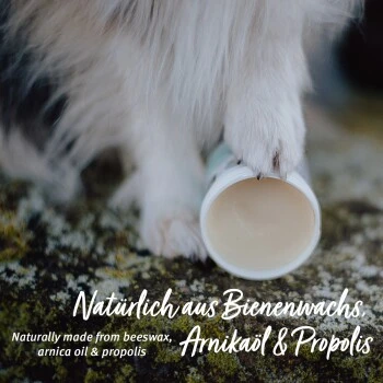 Aniforte Pfotenschutz Balsam 120ml Sommer & Winter 4 Aniforte Pfotenschutz Balsam 120ml Sommer & Winter – Bild 2