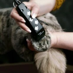 Moser Schermaschine REX MINI -Happy Hund ce7d6c4109e049cdbdcd82f7bfcbb7381eef0260 e0e3a38d8a4786db6e8f11c22b03f620855b1d10