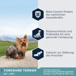 EUKANUBA Breed Specific Yorkshire Terrier 2kg 9 EUKANUBA Breed Specific Yorkshire Terrier 2kg -Happy Hund d2d88bd5978c0492f3de222e84d02a53e0ab9129 86d3ab251b2e188cb3577aa52627db4b7aa1560d