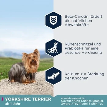 EUKANUBA Breed Specific Yorkshire Terrier 2kg 6 EUKANUBA Breed Specific Yorkshire Terrier 2kg – Bild 4