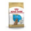 ROYAL CANIN Poodle Puppy 3kg -Happy Hund d7b71cd4a5434169e0cbe632fcf5c0c997c395d8 1037359 de DE pudli 1