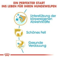 ROYAL CANIN Poodle Puppy 3kg -Happy Hund d85ac403c47aed96fc4971788a290d1a23bbe67f e0ab538c5a3f428d49f7b31083a4afb802078973