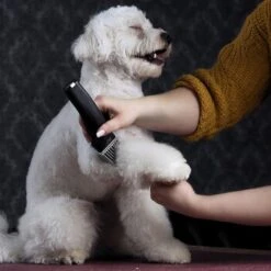 Moser Schermaschine Arco Pro -Happy Hund d94979d61f2023cf0118c8257a8bd4066fa8858b ed4a0b808fc43743a84927566ac43a708eadd5ba