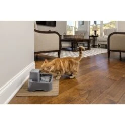 PetSafe Trinkbrunnen 1,8 L 15 PetSafe Trinkbrunnen 1,8 L -Happy Hund df488cf045110a6e0d24fcded3d81de07583d88a 1323706 7