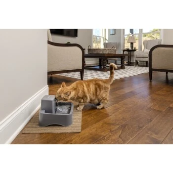 PetSafe Trinkbrunnen 1,8 L 6 PetSafe Trinkbrunnen 1,8 L – Bild 4