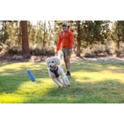 Ruffwear Gourdo™ Spielzeug L Violett -Happy Hund e0043bb37798e694605eafae31f43ab1b08a1b0e 1639892 de DE 14d32b95607116f791fa89977cce0163703631adnlxQik