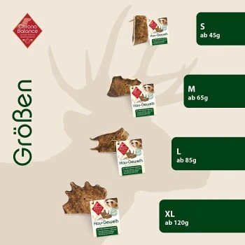 ChronoBalance Kaugeweih Damhirsch (S) 2er Paket 6 ChronoBalance Kaugeweih Damhirsch (S) 2er Paket – Bild 4