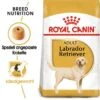 ROYAL CANIN Labrador Retriever Adult 12 Kg 1 ROYAL CANIN Labrador Retriever Adult 12 Kg -Happy Hund e6b290c4b439e22d842f45beac20f3f90c9ee4aa d0749efa5b8814e031b15d982bbce30bb0067008