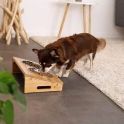 Lionto Futterstation Mit Bambusgestell -Happy Hund e762634a87a53c4042e5b63f5ad9a631025e7cef 1665980 de DE 6bec3df4da87afbd35f2bf89c4f6a17e28748e22vGZNCF