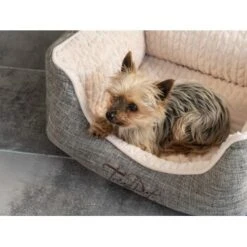 TrendPet VitaBed Classic Orthopädisches Hundebett Beige S -Happy Hund e9c4b8b04715aa9a0805f554870b41f4b66dff08 1312262 de DE 149707f9692d822bfb2866d578db217fa49558ddkusmtz