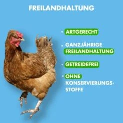 Irish Pure Junior - Huhn + Gemüse & Kelp 1,5 Kg -Happy Hund ef0250dc35b2bddcf5eef80b09bbcc4830fec907 1274242 de DE 2802b8d38bbcff56ea6fd781af813be5defc38b26YsLha