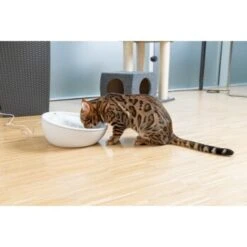 AniOne Keramik-Trinkbrunnen Waterfall Weiß Ohne Ersatzfilter -Happy Hund f5666e2f535275128e81462f19991e450c3d3f87 c66954489332ac4ff326811e24559ef9b2854fac