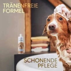 Pawlie's Welpenshampoo -Happy Hund f56801adb1bee6d0b5fdd328d641fa773ce5d4c4 1626204 de DE 7b87b87a2e48e8c0e12b98c918c4d75b538aae40E5TfEc