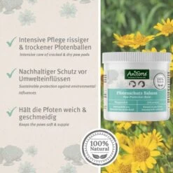 Aniforte Pfotenschutz Balsam 120ml Sommer & Winter 8 Aniforte Pfotenschutz Balsam 120ml Sommer & Winter -Happy Hund f6352728d2d295839a5f9bac2123e02ea5cfd66d 1480491 de DE b4b6382b0452d366b3ffc33798d9e5be379c6ee9yrOk4E