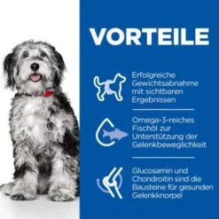 Hill's Science Plan Perfect Weight & Active Mobility Mit Huhn 12 Kg -Happy Hund f7d757a9233fd23ff7b6ee1b5d969392900ad5b8 52742052427 4