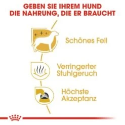 ROYAL CANIN Maltese Adult 1,5 Kg 1,5 Kg -Happy Hund f90d9ba88cab85146ee9a6174a35779689441d96 eb360bae359894307615e39cafb2510583920689