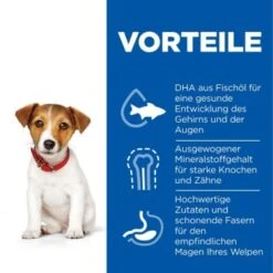 Hill's Science Plan Small & Miniature Puppy Mit Huhn 3 Kg -Happy Hund f99e800bdba85688d025c611ec54227734f1645a 52742281704 4