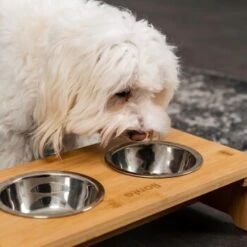 Lionto Erhöhte Futterstation Aus Bambus Braun/ Silber S -Happy Hund ff2eba128a0d6b75a70cc824dc213b8dd85d734a 1665921 de DE e23b5a688ebe67bbe1f23e079b16083d61ef18cdlFh9kV